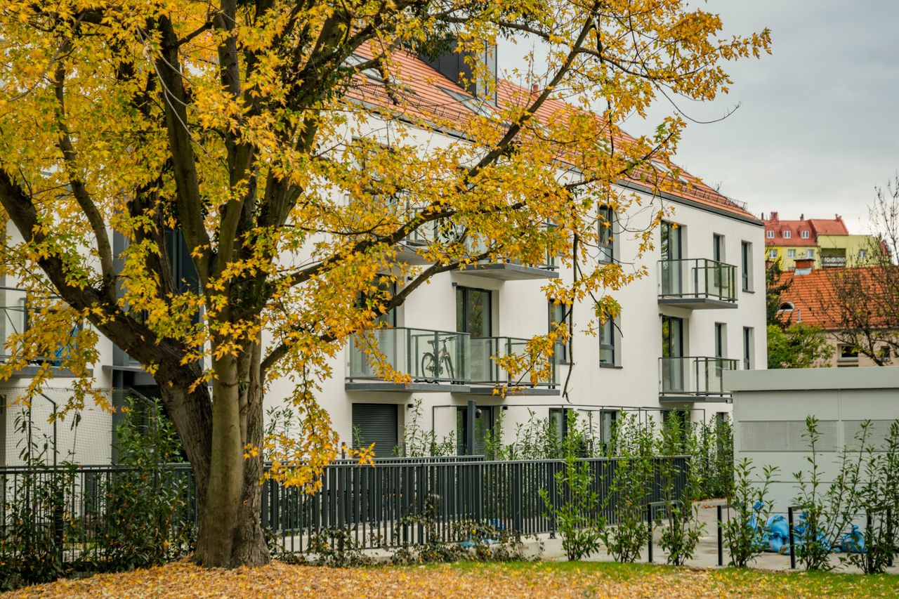 Offerings A modern apartment surrounded by vibrant autumn trees and yellow leaves.